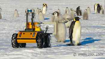See the tiny robot that's spying on penguins in Antarctica