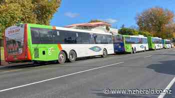 New public transport service hitting Hastings streets in June - New Zealand Herald