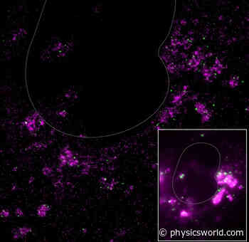 Super-resolution microscopy reveals coronavirus-replicating machinery – Physics World - physicsworld.com