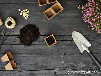 Best seed delivery services (2022)