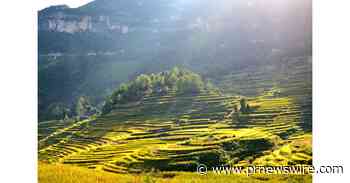 Les projets d'aide sociale stimulent la revitalisation des zones rurales à Chongqing