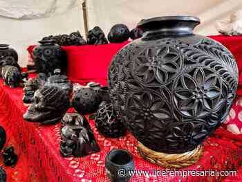 #Galería: Festival Turístico y Cultural Oaxaca en Calvillo - Líder Empresarial