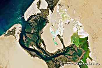 NASA capta desde el espacio lagunas de sal de Guerrero Negro; lo bautizan como Santuario Salado - BCS Noticias