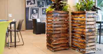 Cultuurcafé en andere horecazaken ontvangen lokale helden | Lebbeke | hln.be - Het Laatste Nieuws