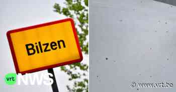 Bilzen in de ban van gele vlekjes - VRT NWS