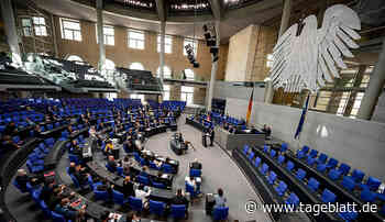 News-Ticker: Russland setzt Delfine gegen Angriffe ein - Landkreis Stade - Stader Tageblatt - Tageblatt-online