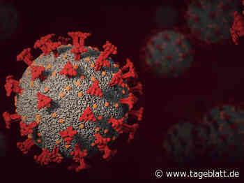 Corona-Lage im Kreis Stade: Inzidenz klettert über 1000 - Landkreis Stade - Stader Tageblatt - Tageblatt-online
