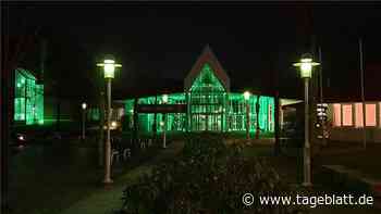 Stadt Stade: Ab nächstem Jahr soll nur Ökostrom fließen - Stade - Stader Tageblatt - Tageblatt-online