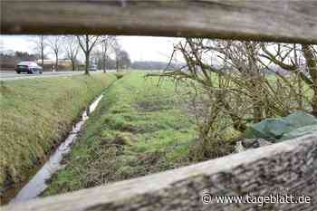 Stade schafft Platz für neue Gewerbebetriebe - Stade - Stader Tageblatt - Tageblatt-online