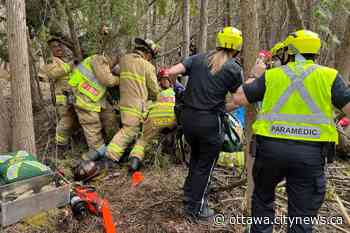 Firefighters and paramedics help person pinned under tree in Stittsville - Ottawa.CityNews.ca
