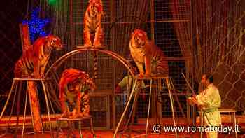 Stop ai circhi con animali nel XV Municipio