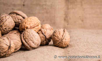 Altro che noci e salmone perché l’alimento più ricco di omega 3 sarebbe questo pesce così economico e comune - Proiezioni di Borsa