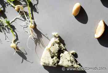 Le Ricette di StrettoWeb – Ciambella noci e gorgonzola - StrettoWeb