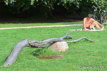 Kunst-Diebstahl: Bronzener Ast bleibt verschwunden