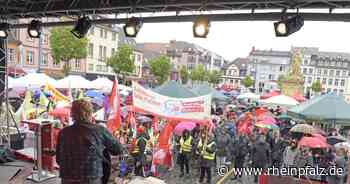 Sikorski Hauptredner bei Maikundgebung auf Marktplatz - Mannheim - Rheinpfalz.de