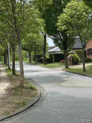 Groene herinrichting voor Becelaeres Hof in Izegem - KW.be - KW.be