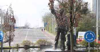 Bromfietsster (17) gewond bij ongeval aan rotonde in Izegem - Het Laatste Nieuws