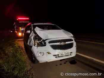 Cavalo solto provoca acidente na ERS-332 entre Soledade e Espumoso - ClicEspumoso