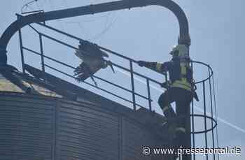 FW Lügde: Feuerwehr befreit Storch aus Notlage