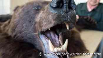 Tierschützer fordern Jagdtrophäen-Verbot
