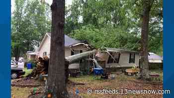 1 hospitalized after tree falls on Suffolk home