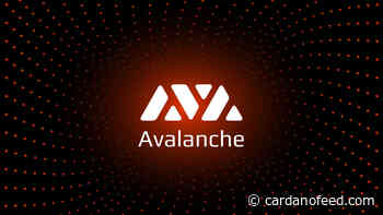 Avalanche vs Cardano: Which is a better buy between AVAX and ADA? - Cardano Feed