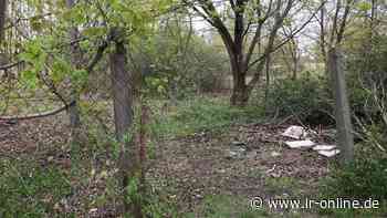 Wohnen in Cottbus: Warum sich auf der Brache zwischen BTU und Lagune weiterhin nichts tut - Lausitzer Rundschau