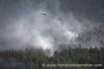 Curbing Canadian forest fires could be an affordable way to cut emissions: study - Cranbrook Townsman