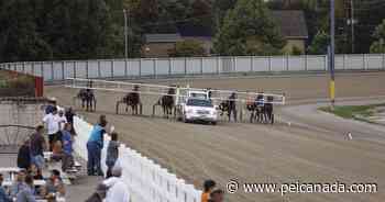 Forest City Pace returns to the raceway at Western Fair District - peicanada.com