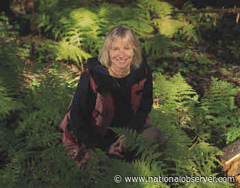 Suzanne Simard sees the forest for the trees - Canada's National Observer