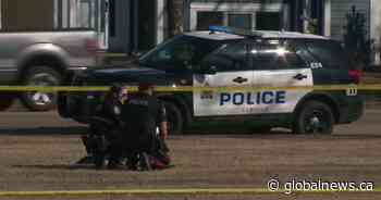 Edmonton police ask people to not post names of youths accused, witnesses of McNally attack