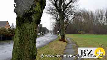 Salzgitteraner Politiker sauer über fehlende Info zu Stromnetz