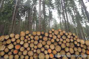 Gemeinderäte geben grünes Licht - Im Tettauer Gemeindewald sollen mehr Bäume fallen - Neue Presse Coburg