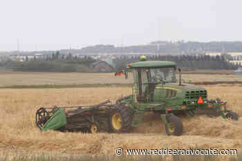 Central Alberta farmers not worried about 'sizzling' summer temperatures yet – Red Deer Advocate - Red Deer Advocate