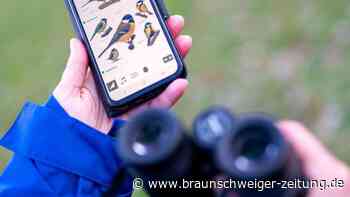 "Stunde der Gartenvögel" ruft zum Vogelzählen auf