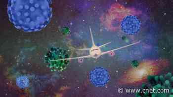 Yes, You Can Save Money on Travel Despite Climbing Flight Costs     - CNET