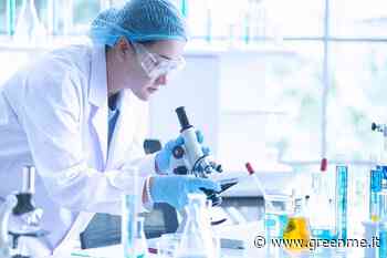 Cancro al colon: creato il primo anticorpo in grado di bloccare la crescita delle cellule tumorali - greenMe.it