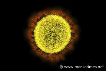 Avoiding a coronavirus 'perfect storm' - The Manila Times