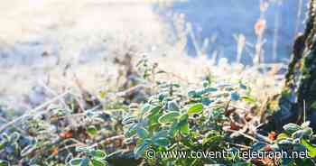 Freezing -4C mornings before 17C bank holiday highs - the forecast for Coventry and Warwickshire - Coventry Live