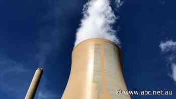 Soaring wholesale electricity costs could push household power bills 40pc higher, analyst says