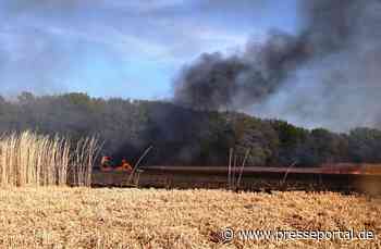 FW Gangelt: Brand einer Erntemaschine greift auf Schilffeld über