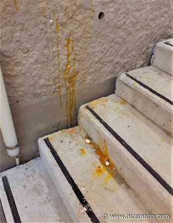 Des jets d’œufs sur les bâtiments publics de Roquesteron, la maire dénonce "un acte gratuit, stupide et lamentable"