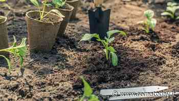 Corsi pubblici di giardinaggio: il comune riapre le prenotazioni