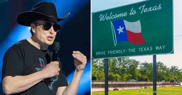 Texas Landowner Makes Elon Musk an Offer He Can't Refuse: 100 Free Acres and a Single Stipulation