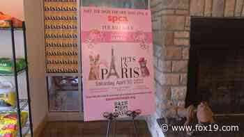 'Pets in Paris' for SPCA Cincinnati's 20th annual Fur Ball Gala - FOX19