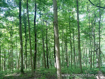 Women blaze the path at Cincinnati Nature Center - The Clermont Sun