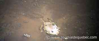 [PHOTOS] Des images spectaculaires de Perseverance prises par l'hélicoptère martien de la NASA