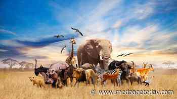 Climate Change Predicted to Accelerate Animal-to-Human Viral Spillover