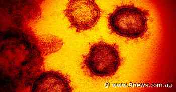 NSW detects first BA.4 infection prompting warning about COVID-19 reinfections - 9News