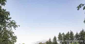 Die Kulturhalle: Preisgekrönte Architektur am Waldrand - Schaidt - Rheinpfalz.de